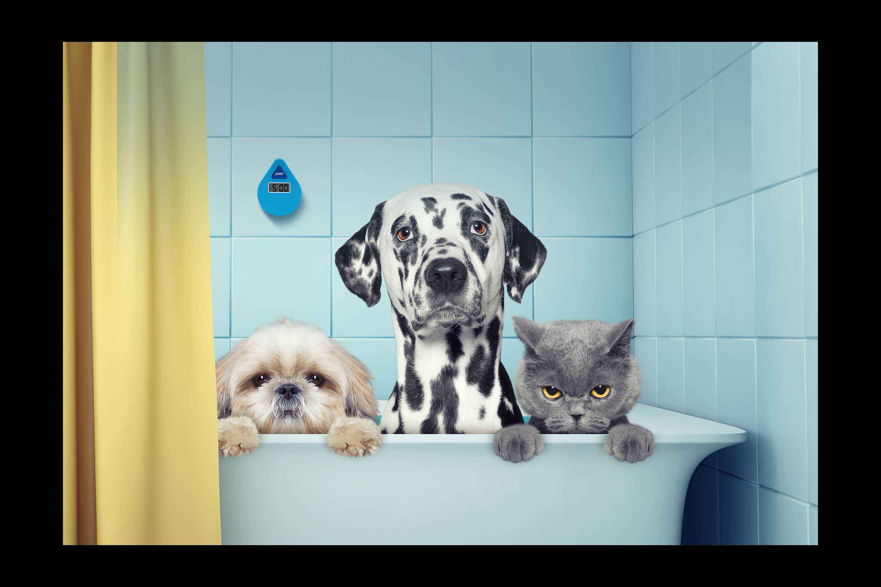 cost of product photography in brisbane